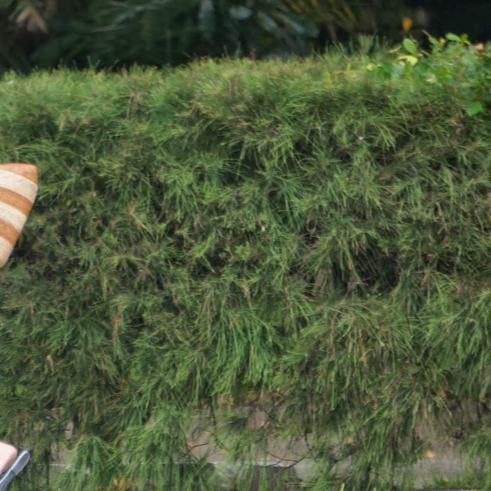 Meet your Posher, Ксения